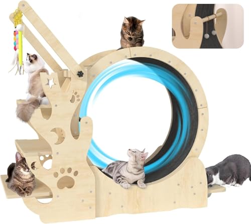 Beeneo Verbessertes Katzenrad, Katzen-Trainingsrad für Indoor-Katzen, Katzenlaufband mit Katzenhaus, Katzenständer, Katzenbaum, Katzennapf, Teppichlauf, Katzen-Amüsanter Stick, Katzenlaufrad für von Beeneo