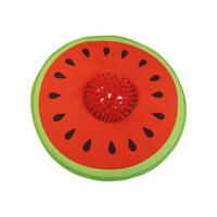 2in1 Frisbee Melone mit Noppenball von Beeztees