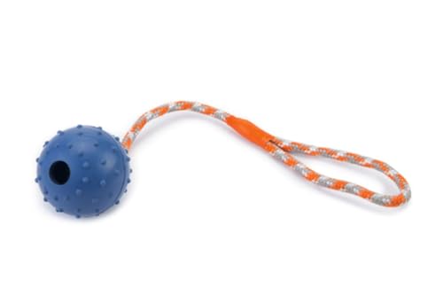 BEEZTEES 625955 Hundespielzeug: Ball mit Seil Ø 6cm 30cm BLAU von Beeztees