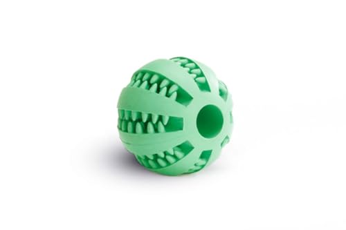 Beeztees 625407 Massageball Fuer Die Zaehne, 7 cm, Mint von Beeztees