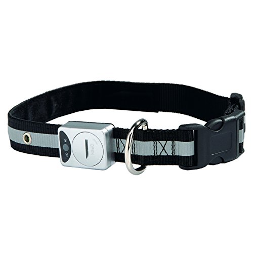 Beeztees 749807 Reflektierendes Halsband, 30-45 x 1.5 cm, grau von Beeztees