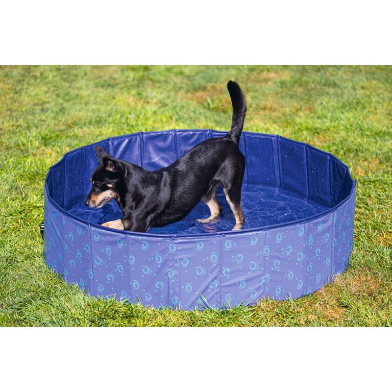 Beeztees Hundeschwimmbecken Doggy Dip - 120 x 120 x 30 cm von Beeztees