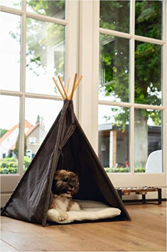 Beeztees K&Bz Dbltienda, Tipi Nesti, Anthrazit, 70 x 70 x 90 cm, 320 g von Beeztees