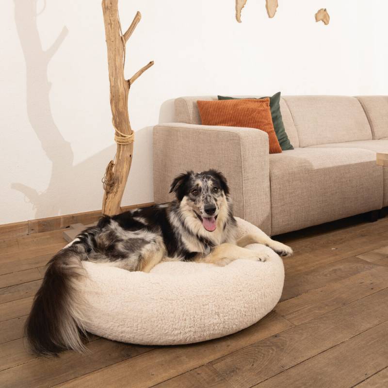 Beeztees Memory Foam Hundekorb JAXX Beige -  60 x 60 x 25 cm von Beeztees