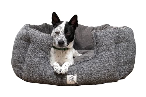 Beeztees Nano Hundebett Chill Kuzzi, Hundebett, Grau, 58 x 58 x 30 cm von Beeztees