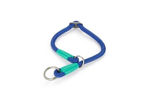 Beeztees Nikra - Hundehalsband - blau - 40 cm x 10 mm von Beeztees