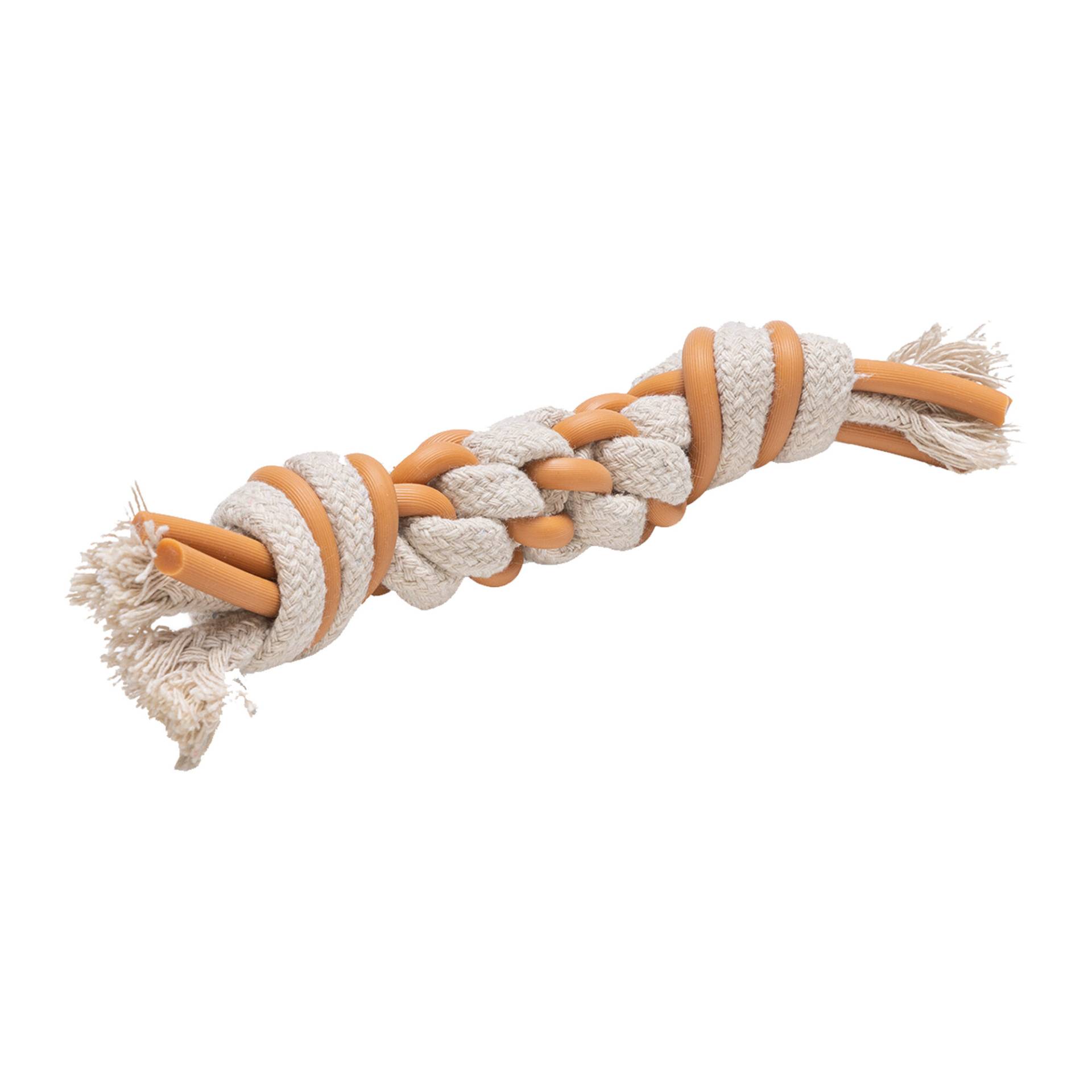 Beeztees Puppy Dental Rope Foz - 20 cm Beeztees Puppy Dental Rope Foz - 20 cm von Beeztees
