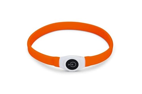 Beeztees Safety Gear Glowy - Hundehalsband - orange - 65x2,5 cm von Beeztees