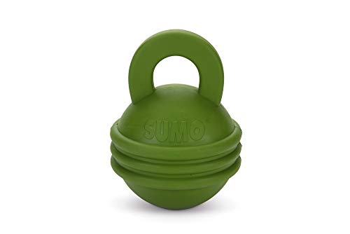 Beeztees Sumo Kettlebell, Hundespielzeug, Gummi, grün, 16x12x12 cm von Beeztees