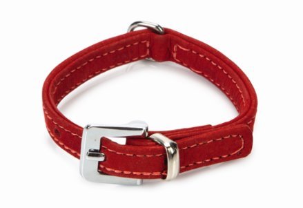 Lederhalsband Hund Hundehalsband Buffalo 17cm - 21cm Rot von Beeztees