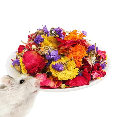 Befeixue Hamsterblumen,Hamsterbettwäsche | Natürliche Trockenblumen-Gerbil-Bettwäsche - Geruchskontrolle, Hamsterfutter, Gehege-Lebensraum-Dekoration für Kaninchen, Rennmäuse oder andere Kleintiere von Befeixue