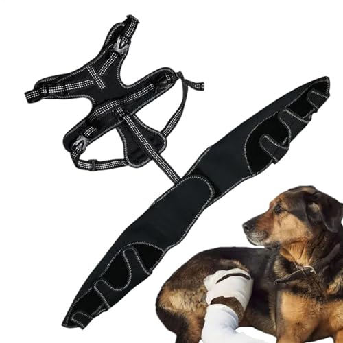 Befeixue Hundebechklammer, Hunde Hüftklammer | PET orthopädische Hüfte Hock Support Brace,Einstellbare Beinstütze für die Warm und Stabiler Tierfugen von Befeixue