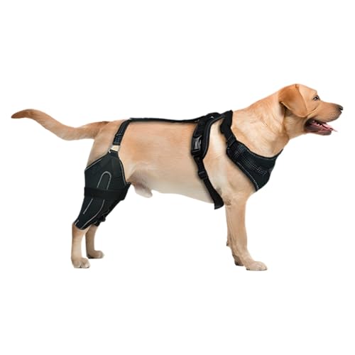 Befeixue Kniebandage für das Hinterbein von Hunden,Hinterbeinbandage für Hunde | Verstellbarer Hunde-Hinterbeinwickel,Hunde-Rückenbeinbandage, Canine Care CCL-Stützbandage für mittelgroße und große von Befeixue