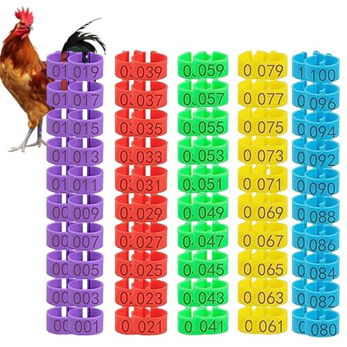 Hähnchen Beinringe | 100 Stück Geflügel Fußringe | Hähnchenschenkel Ring Clip | Mehrfarbige Hühner Identifikationsband | Nummerierte Geflügelbein Tags Für Hühner, Enten, Tauben von Befeixue