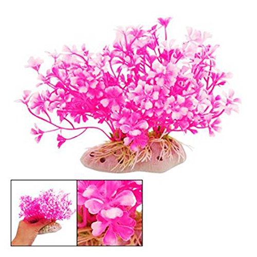 Begchy Hot pink Zwerg Kunststoff Pflanze Ornament Fuer Aquarium Fischtank von Begchy