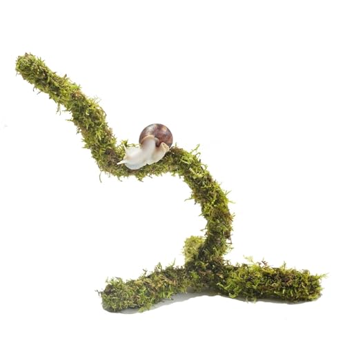 Begeterday Biegbares Haustierschnecken-Kletterspielzeug, ideales Schnecken-Terrarium-Zubehör, schön für Haustierschnecken, die gerne klettern, 30,5 cm von Begeterday