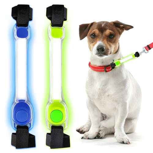 2 Stück LED Leuchtbänder für Haustiere,Sicherheits LED Leuchtband für Hunde,Sicherheits LED Leuchtband für Hunde Katzen,Einfach an Halsband Leine und Geschirr zu Befestigen(blau+grün) von Begonia