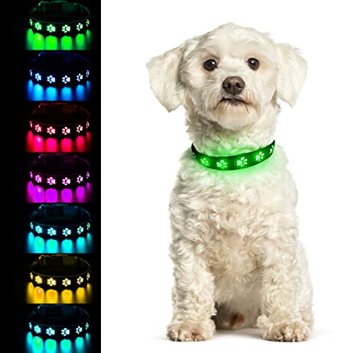 Begonia LED Hundehalsband Hundering LED beleuchtetes Halsband Leuchtendes Sicherheitshalsband verstellbares wasserdichtes Halsband 7 Farben geeignet für spazierengehende Hunde 15.7-19.7IN,M von Begonia