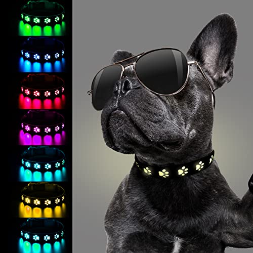 Hundehalsband Leuchtend Einstellbar Sicherheit Hundehalsband LED Leuchthalsband USB Aufladbar Wasserdichtes 7 Farbwechsel Hund Halsband 11.8-15.7 IN,S von Begonia