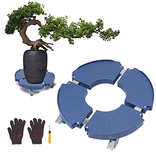 Begoniape Pflanzenroller Außenbereich Pflanzenregal Bonsai Blumentopf mit 4 * 360 °Räder für Schlafzimmer, Balkon, Wohnzimmer, Garten, verwendet Werden Tragkraft 400kg 61.00cm*61.00cm*9.00cm Blau von Begoniape