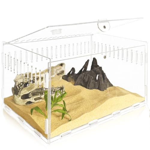 Acryl Terrarium Schnecken Terrarium 30*20*15CM, Reptil Acryl Fütterungsbox, Transparent Insekten Terrarium, Kriechender Haustier Acryl-Terrarium-Behälter für gehörnte Frösche, Echse, Schlangen von Behogan