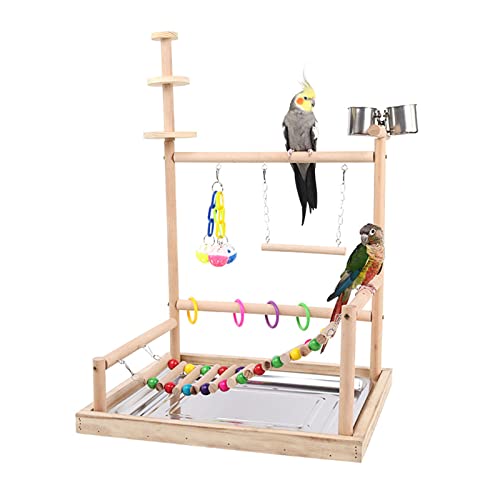 Bird Barch Holzständer Spielzeugpapageien Playstand Für Sitticheets Cockatiel Conure Mit Fütterung Tassen Leiter Schwung Kauspielzeug Spielzeug von Beimus