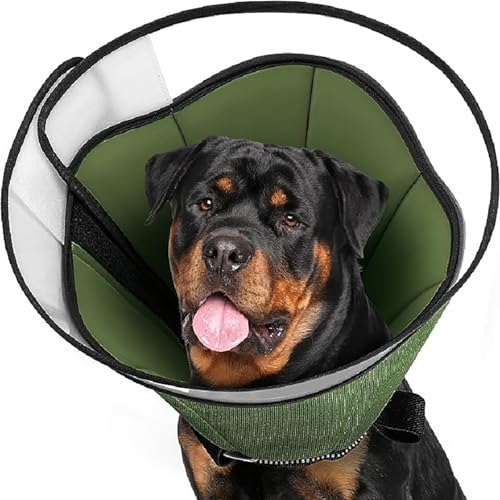 Stop Licking Schutzhalsband Wunden Hundehalsband Gesundheit Medizin Halsband für große Medien Hunde von Beimus