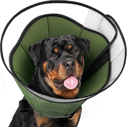 Stop Licking Schutzhalsband Wunden Hundehalsband Gesundheit Medizin Halsband für große Medien Hunde von Beimus