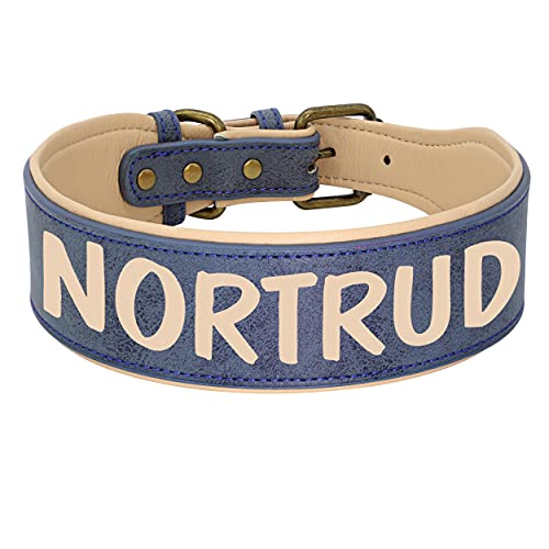 Beirui Custom Heavy Duty Large Hundehalsband - Personalisiertes Leder Hundehalsband mit starker, langlebiger Hardware - Weich gepolstertes Hundehalsband für mittelgroße und große Hunde (Blau,XL) von Beirui