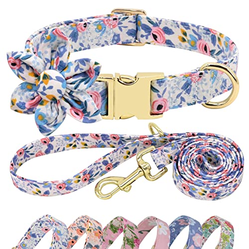 Beirui Cute Girl Hundehalsband und Leine, Set für Hündinnen, Hundehalsband mit Blumen, für kleine, mittelgroße und große Hunde, Welpen, Größe L: Halsumfang 38,1–61 cm, Leine, 1,5 m, Blau 1 von Beirui