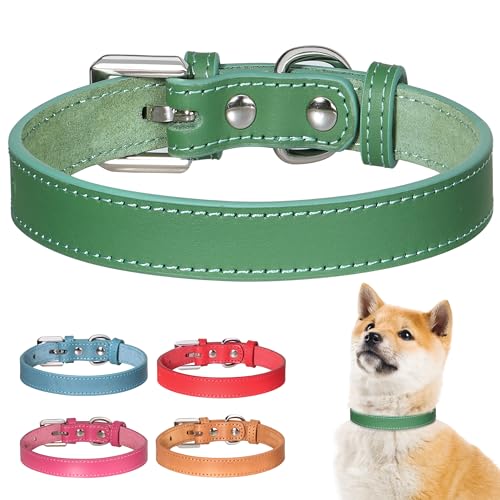 Beirui Hundehalsband aus echtem Leder für kleine, mittelgroße Hunde, weich gepolstertes Hundehalsband mit strapazierfähiger, goldfarbener Schnalle, langlebig und bequem für kleine, mittelgroße Hunde, von Beirui