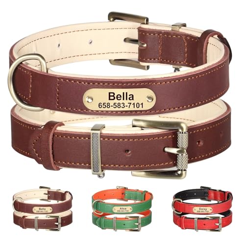 Beirui Hundehalsband aus echtem Leder mit graviertem Namensschild, personalisiertes Hundehalsband mit Namensschild, Kontrastfarbe und zartem Futter, individuelles Hundehalsband mit Namen für von Beirui