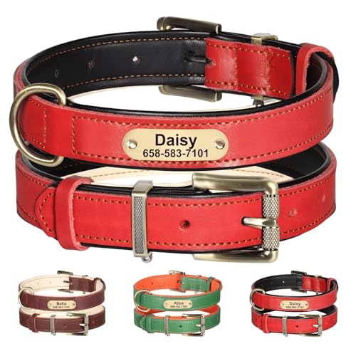 Beirui Hundehalsband aus echtem Leder mit graviertem Namensschild, personalisiertes Hundehalsband mit Namensschild, kontrastierende Farben und zartes Futter, individuelles Hundehalsband mit Namen für von Beirui