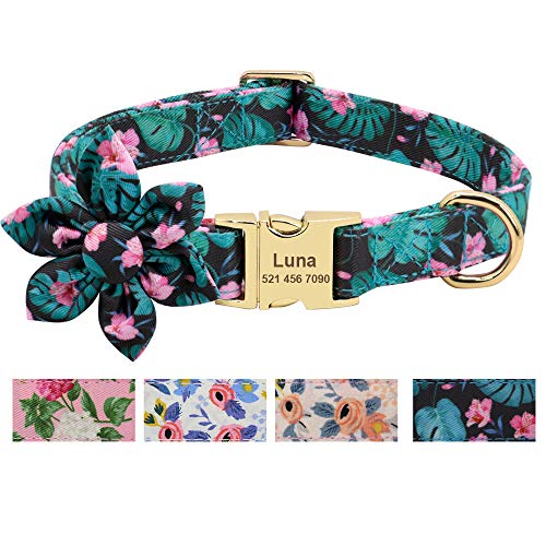 Beirui Hundehalsband mit Blumenmädchen, für Hündinnen, Blumenmuster, graviert, mit personalisierter goldfarbener Schnalle (grünes Muster, XS) von Beirui