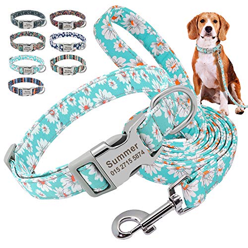 Beirui Hundehalsband und Leine, Nylon, personalisierbar, weich, ethnischer Stil, für kleine, mittelgroße und große Hunde, mit leichter Schnalle, L, grünes Gänseblümchen von Beirui