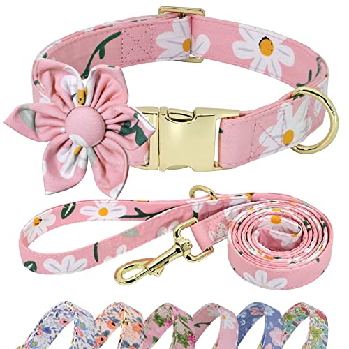 Beirui Hundehalsband und Leine, Set für Hündinnen, Hundehalsband mit Blumenmuster für kleine, mittelgroße und große Hunde, Welpen, Größe S: Halsumfang 25,4–40,6 cm, Leine, 1,5 m, Rosa 2 von Beirui