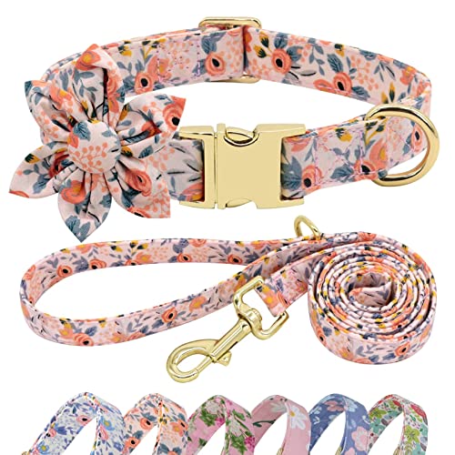 Beirui Hundehalsband und Leine, Set für Hündinnen, florales Hundehalsband mit Blume für kleine, mittelgroße und große Hunde, Welpen, L: Halsumfang 38,1–61 cm, Leine, 1,5 m, Orange 1 von Beirui