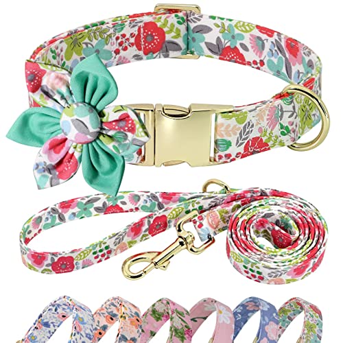 Beirui Hundehalsband und Leine, Set für Hündinnen, florales Hundehalsband mit Blume für kleine, mittelgroße und große Hunde, Welpen, M: Halsumfang 33–53,3 cm, Leine, 1,5 m, Grün – 1 von Beirui