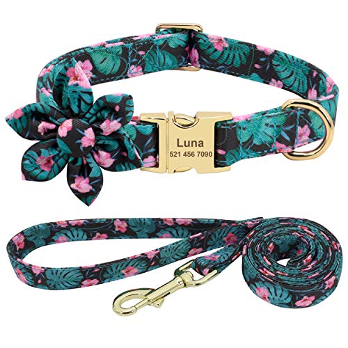 Beirui Hundehalsband und Leine, Set für Hündinnen, mit Blumenmuster und Gravur, mit goldfarbener Schnalle, personalisierbar (grünes Muster, L) von Beirui