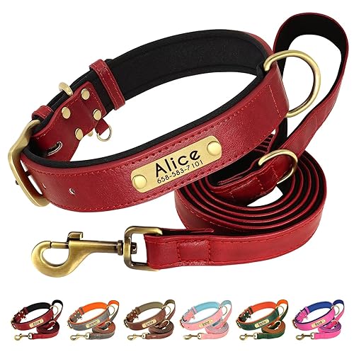 Beirui Hundehalsband und Leine, aus weichem, gepolstertem Leder, verstellbar, mit langlebigen Metallbeschlägen, für kleine, mittelgroße und große Hunde (Rot, Halsumfang 43,2–55,9 cm) von Beirui