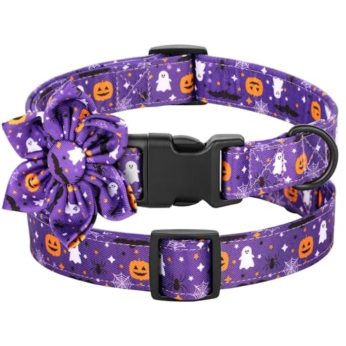 Beirui Niedliches Halloween-Hundehalsband mit Fliege, florales Hundehalsband mit robuster Schnalle, für Mädchen, für kleine, mittelgroße und große Hunde (lila, S) von Beirui