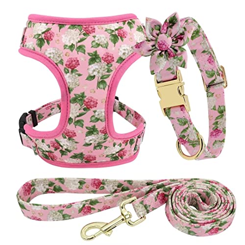 Beirui Niedliches Hundehalsband, Geschirr und Leinen, Set mit Blumen, weiches Netzgewebe, Geschirr für Welpen, kleine, mittelgroße Hunde (Rosa, XS) von Beirui