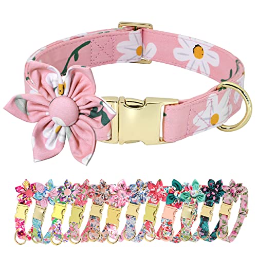 Beirui Niedliches Mädchen-Hundehalsband für kleine, mittelgroße und große Hunde, mehrere Blumenmuster, Urlaub (M: Halsumfang 33-55.9 cm, Rosa-5) von Beirui