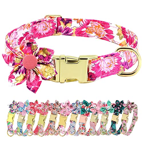 Beirui Niedliches Mädchen-Hundehalsband für kleine, mittelgroße und große Hunde, mehrere Blumenmuster, Urlaub (M: Halsumfang 35.6–55.9 cm, Hot Pink) von Beirui