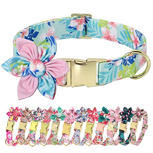 Beirui Niedliches Mädchen-Hundehalsband für kleine, mittelgroße und große Hunde, mehrere Blumenmuster, Urlaub (M: Halsumfang 35.6–55.9 cm, Rosa-2) von Beirui