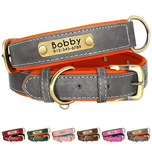 Beirui Personalisiertes, weich gepolstertes Leder-Hundehalsband –Robustes Hundehalsband mit langlebigen Metallbeschlägen für kleine, mittelgroße und große Hunde (grau, Halsumfang 27,9–38,1 cm) von Beirui