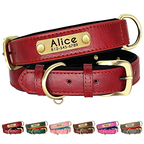 Beirui Personalisiertes, weich gepolstertes Leder-Hundehalsband –Robustes Hundehalsband mit langlebigen Metallbeschlägen für kleine, mittelgroße und große Hunde (rot, Halsumfang 43,2–55,9 cm) von Beirui