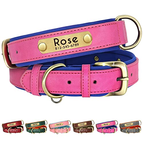 Beirui Hundehalsband aus echtem Leder, weich gepolstert, robust, mit Metallbeschlägen, graviertes Namensschild, verstellbar, für kleine, mittelgroße und große Hunde, Größe M, Rose 28–37 cm von Beirui