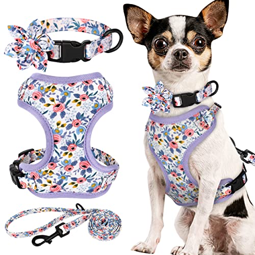 Beirui Set mit Halsbändern, Geschirre und Leinen, verstellbares Hundehalsband und Leine, Set mit Blume, weiches Netzgewebe, für Welpen, kleine und extra kleine Hunde, Katzen (Blau, Größe XXS von Beirui