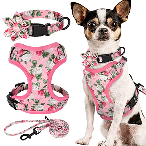 Beirui Set mit Halsbändern, Geschirre und Leinen, verstellbares Hundehalsband und Leine, Set mit Blume, weiches Netzgewebe, für Welpen, kleine und extra kleine Hunde, Katzen (Rosa, Größe XXS von Beirui